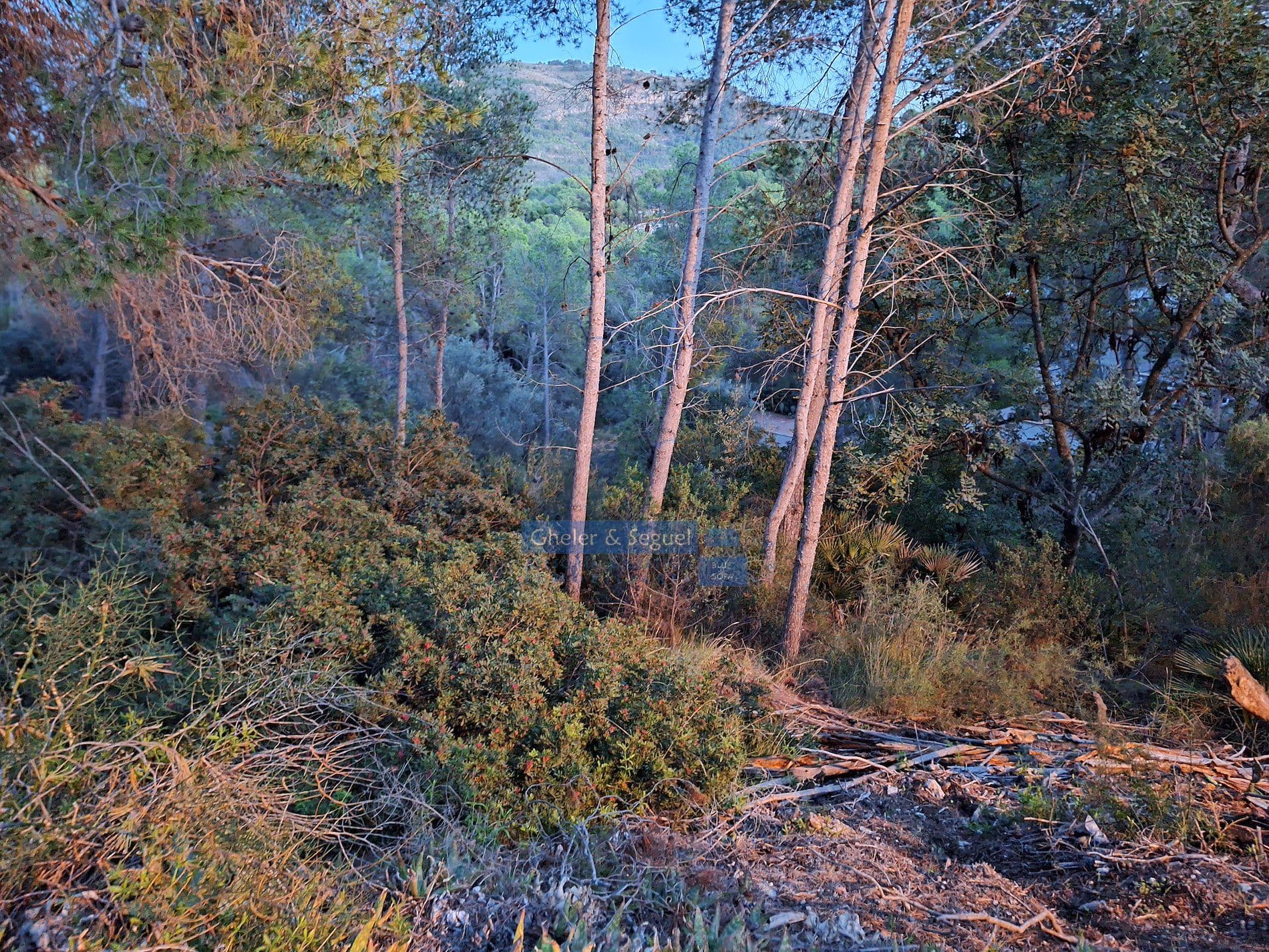 Solar - Naquera - Foto 5