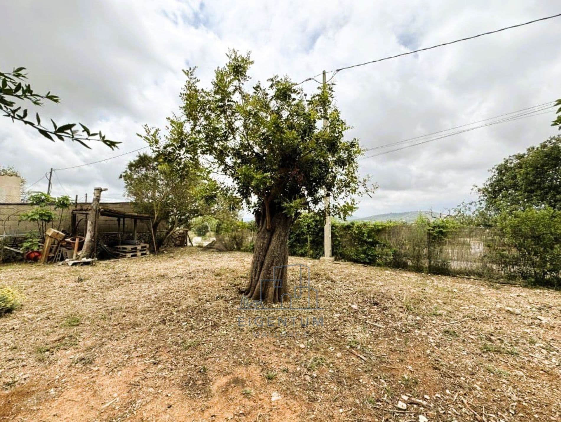 EXCLUSIVA FINCA MALLORQUINA RENOVADA - Foto 5