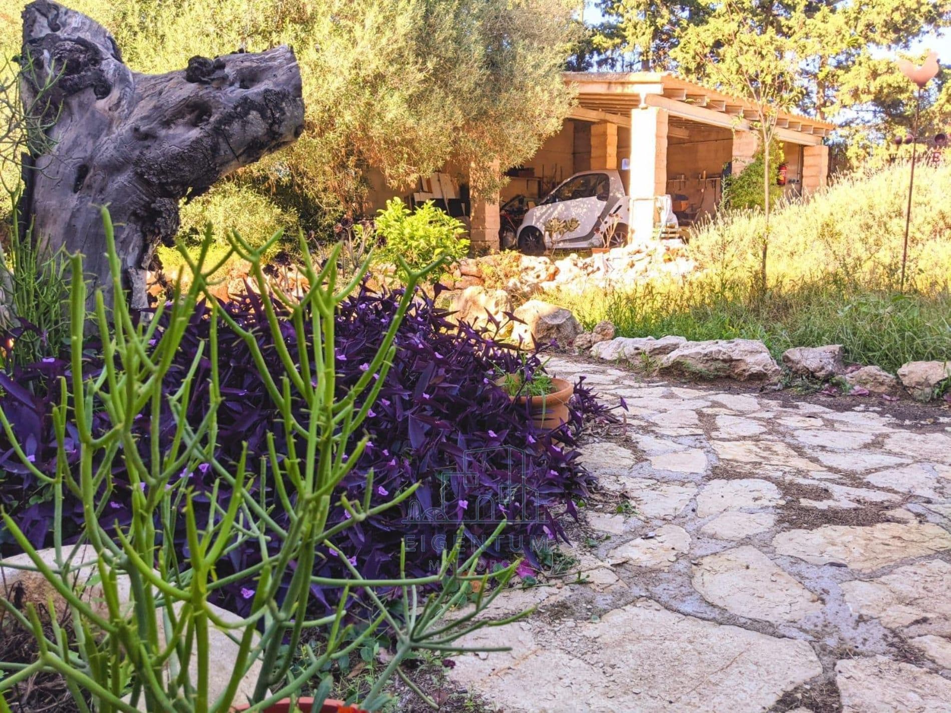 🌿 Finca rústica con vistas lejanas al mar en Cala Millor – Son Servera 🌊 - Foto 2