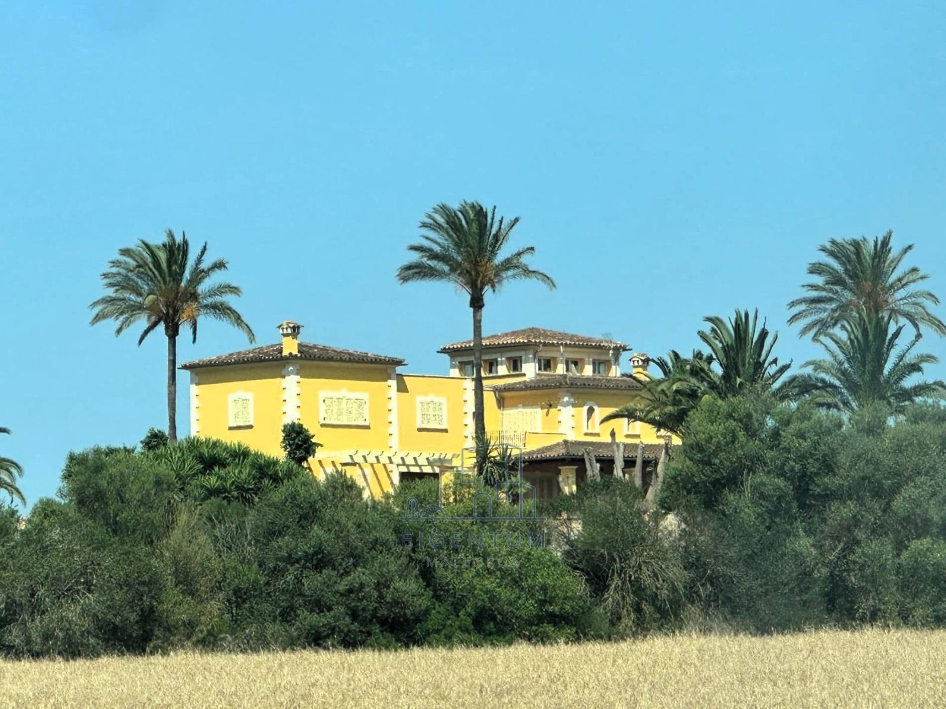 Exclusiva finca de alto standing con piscina y casa de invitados - Foto 3