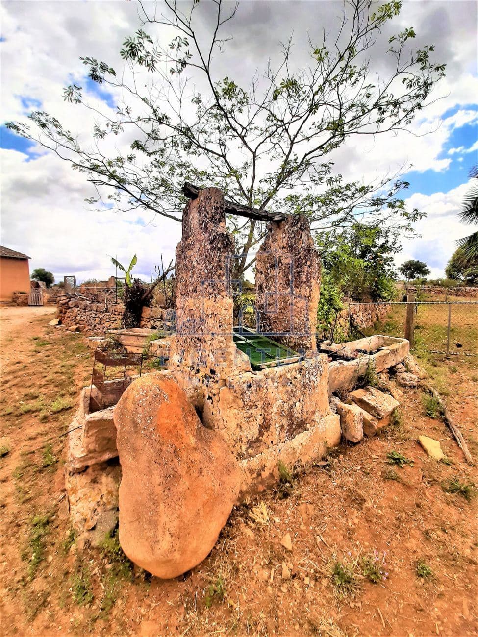 FINCA CON CASA  A REFORMAR CON AGUA Y ELECTRICIDAD - Foto 5