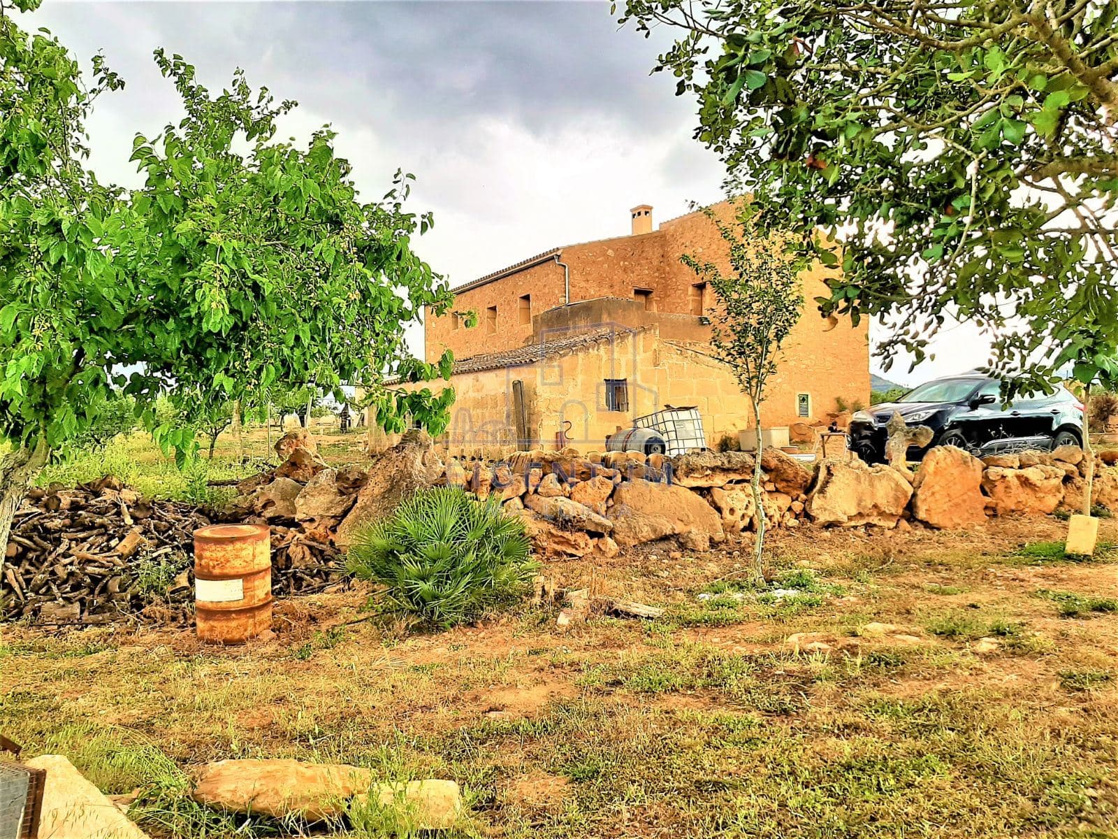 FINCA CON CASA  A REFORMAR CON AGUA Y ELECTRICIDAD - Foto 2