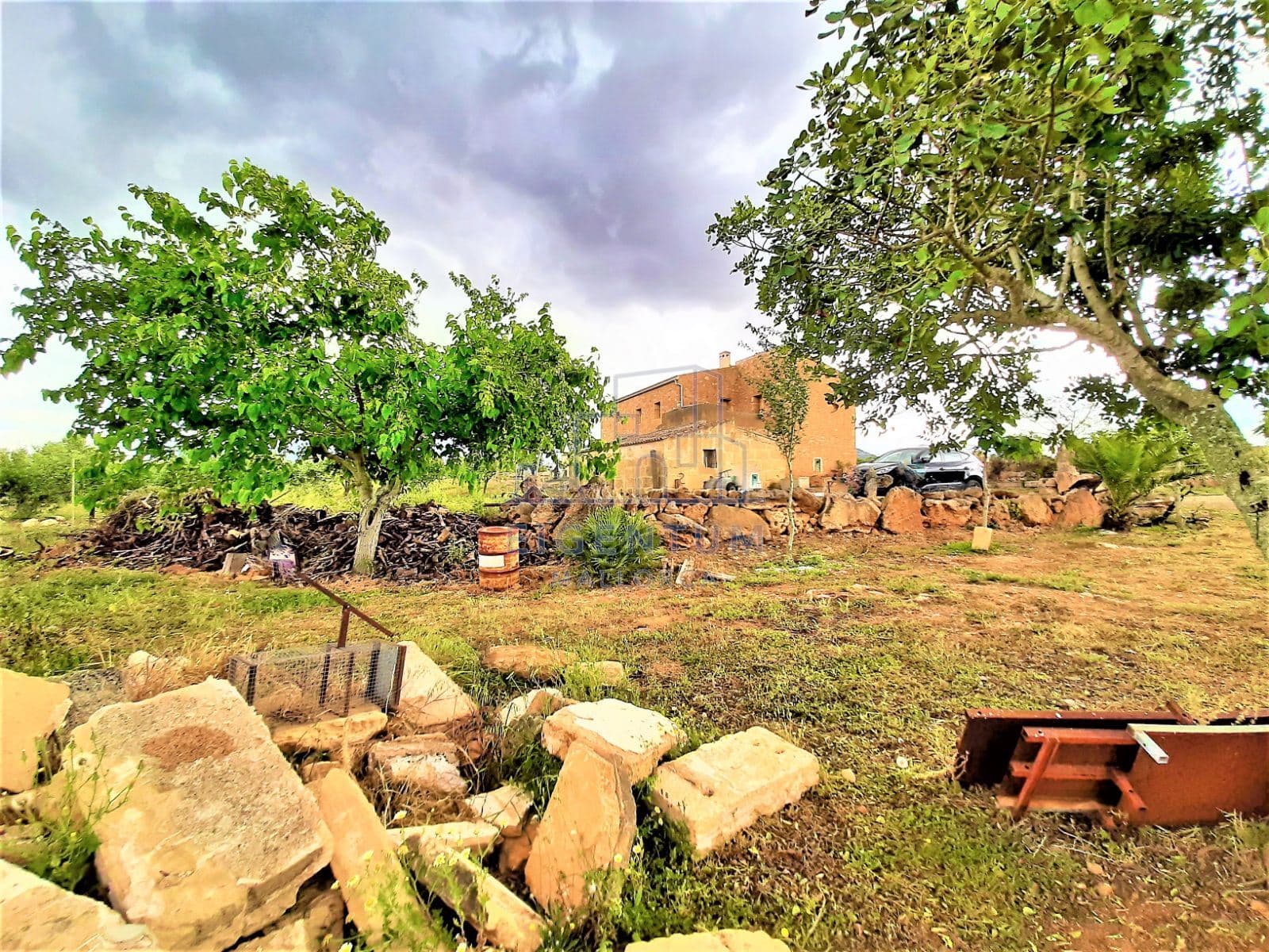 FINCA CON CASA  A REFORMAR CON AGUA Y ELECTRICIDAD - Foto 3
