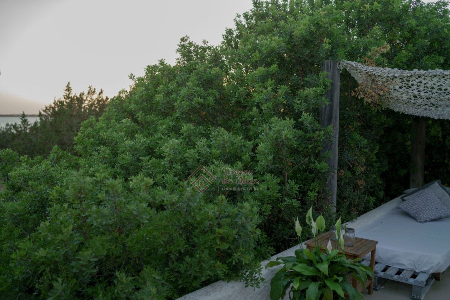 Villa con Licencia Turística de 5 Plazas en Formentera - Foto 4