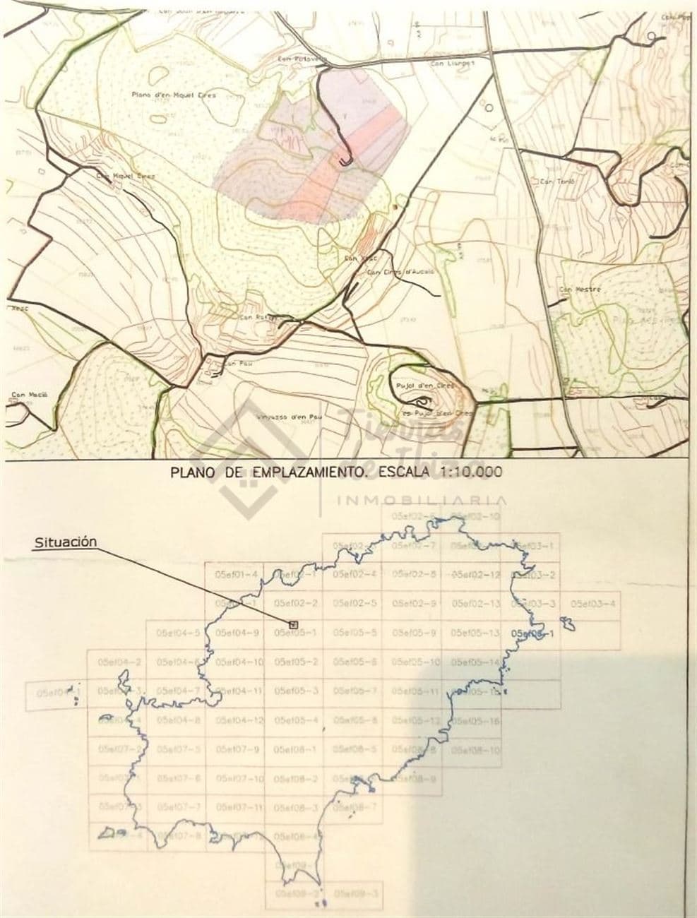 Finca Rústica con Posibilidad de Edificación en San Mateo - Foto 3