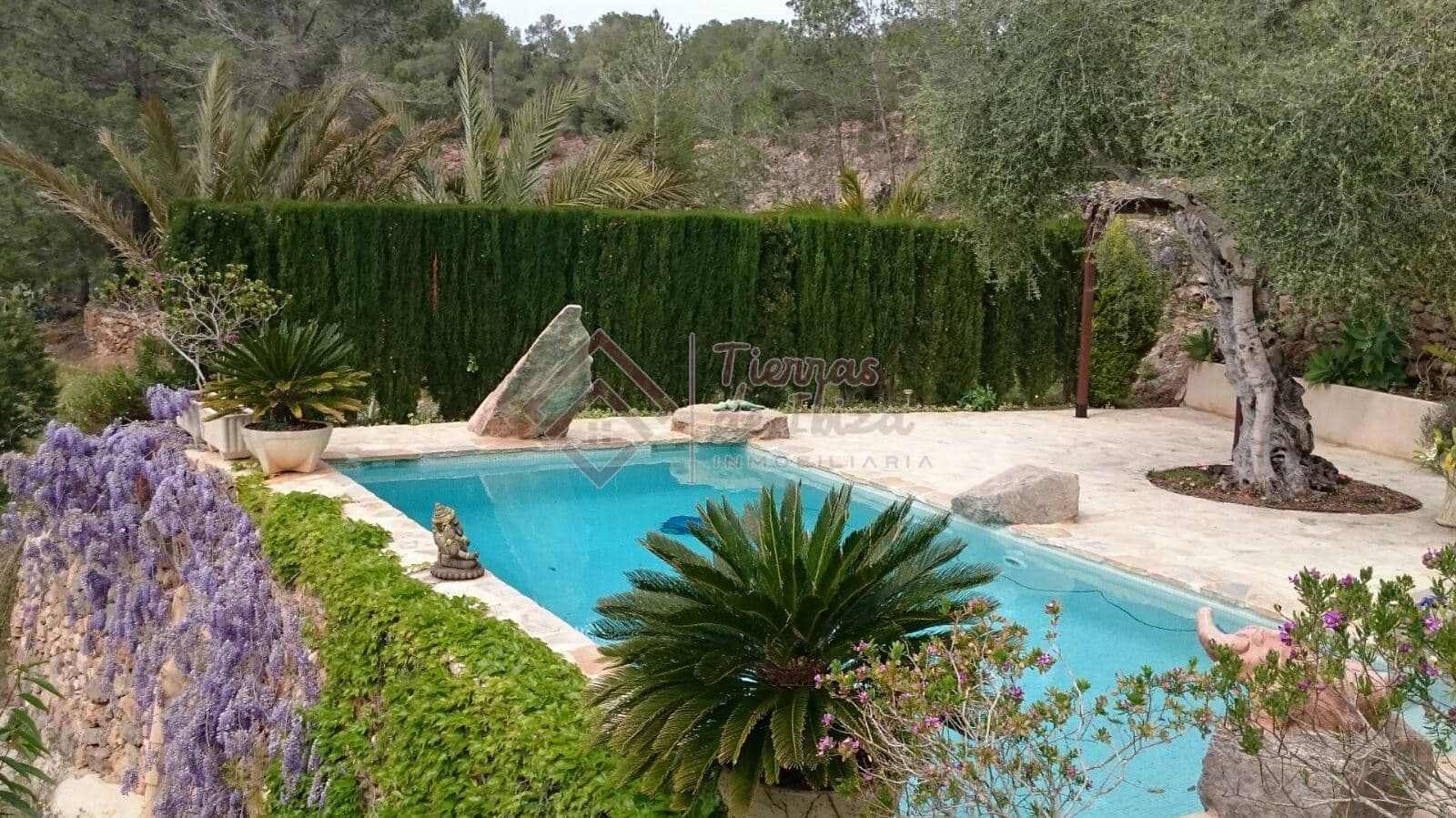 Villa en Alquiler de Invierno en San Miguel - Foto 2