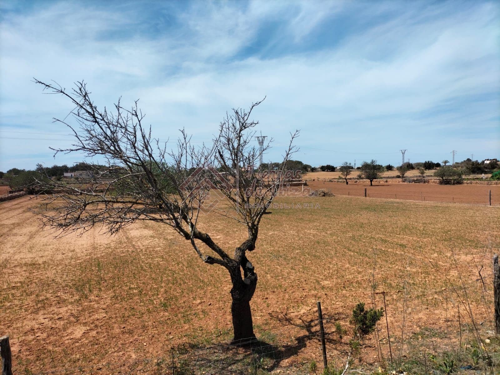 Casa Payesa en Formentera-Alquiler Temporal - Foto 2