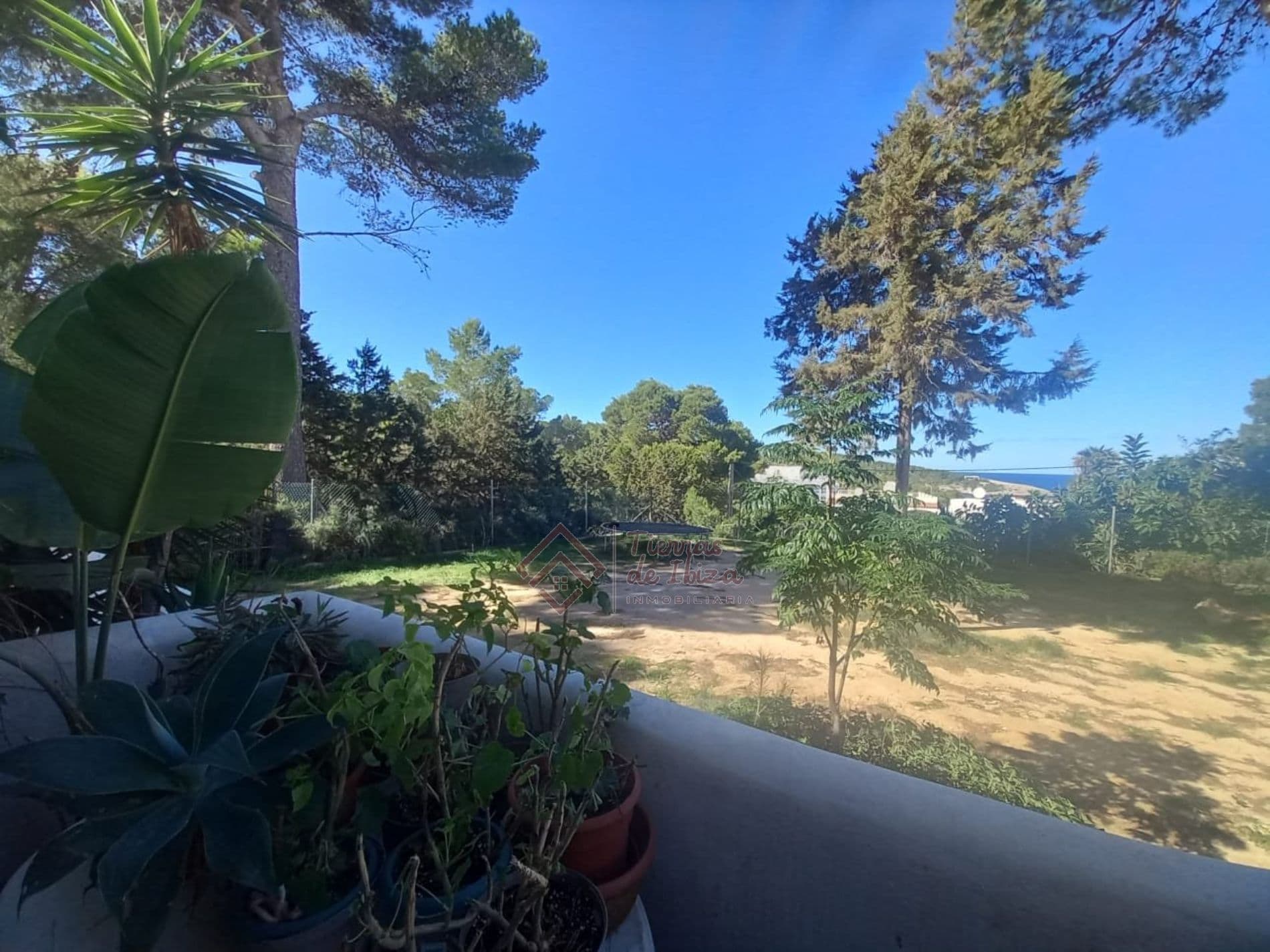 Planta Baja en Alquiler Anual en Portinatx-Alquiler Temporal - Foto 1