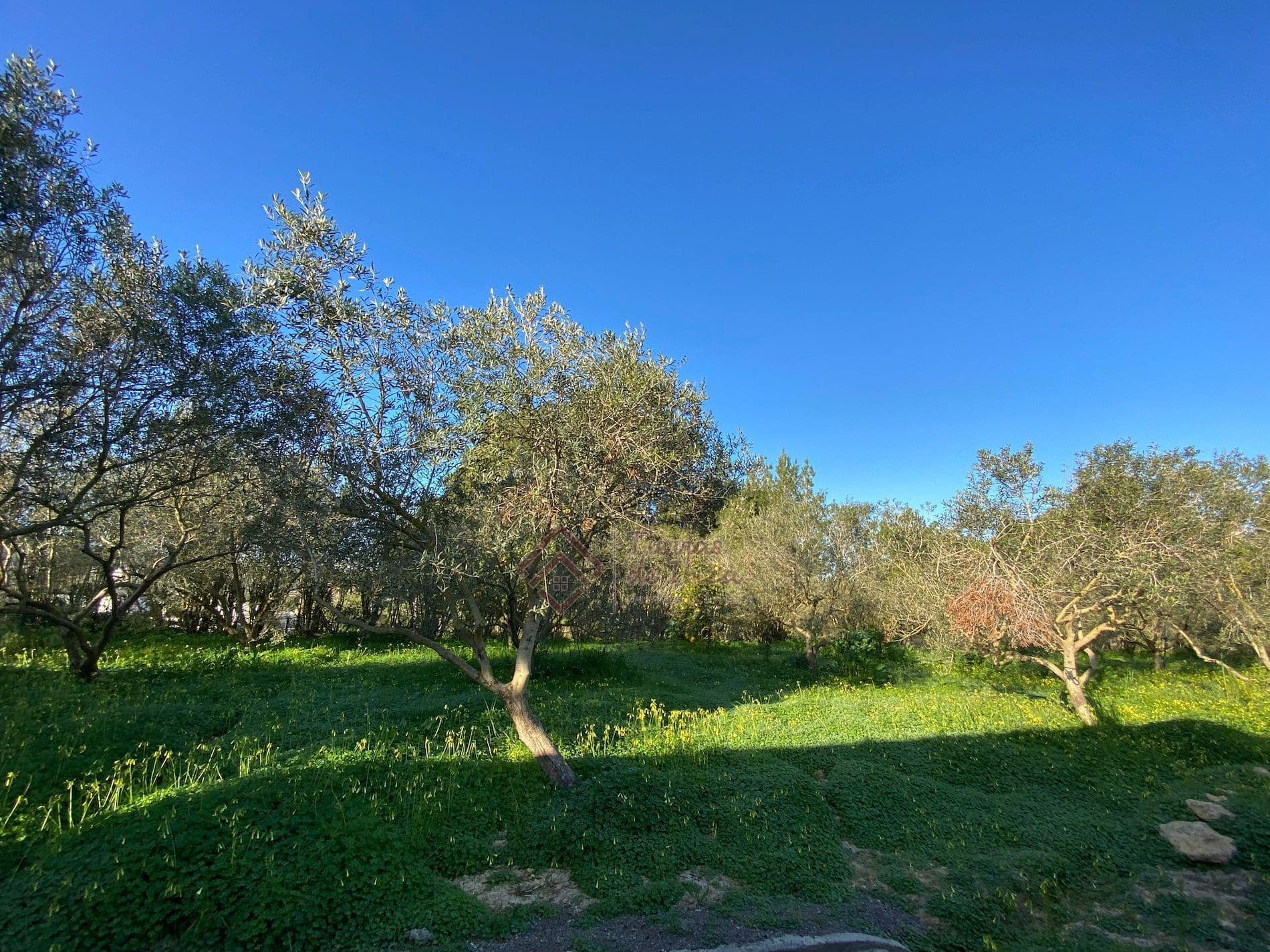 Planta Baja en Alquiler de 11 meses en San Rafael - Foto 3