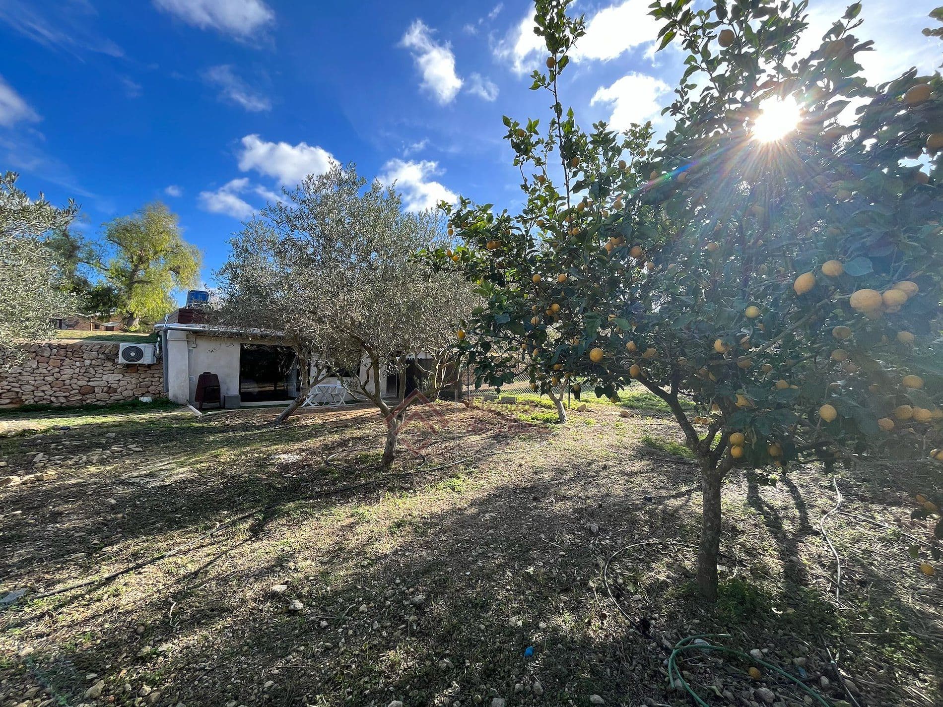 Planta Baja en Alquiler de 11 meses en San Rafael - Foto 5