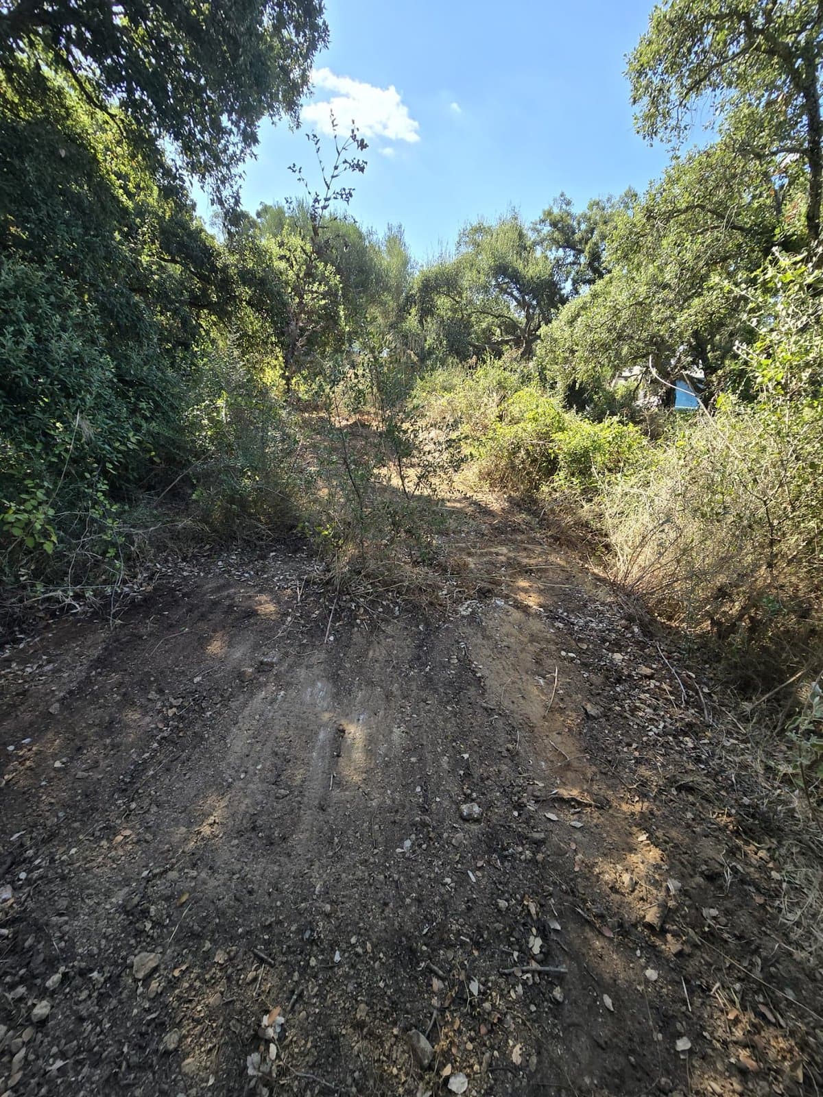 Parcela Exclusiva en Altos de Valderrama junto al Real Club Valderrama – Sotogrande Alto.- - Foto 2