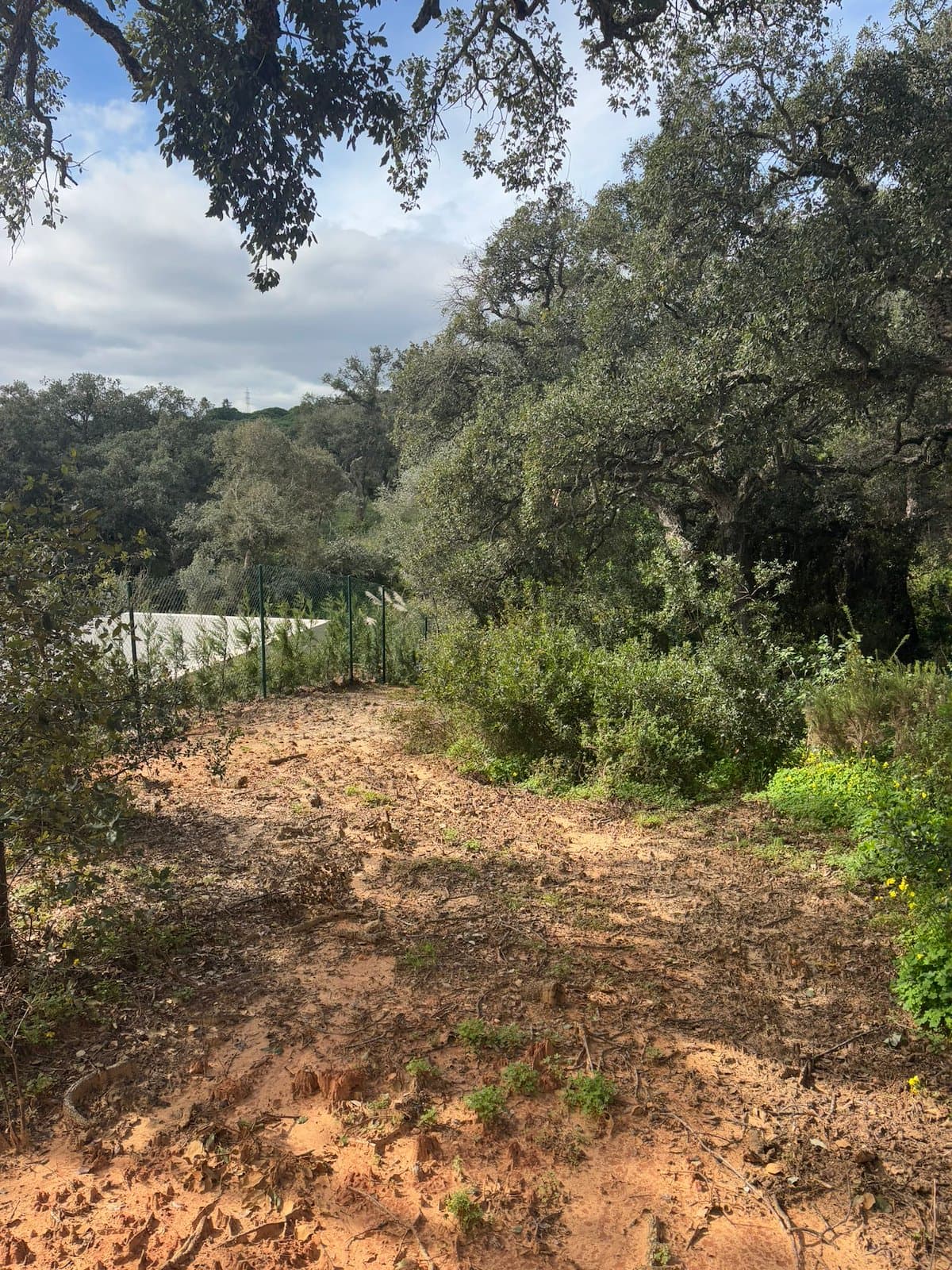 Parcela Exclusiva en Altos de Valderrama junto al Real Club Valderrama – Sotogrande Alto.- - Foto 4