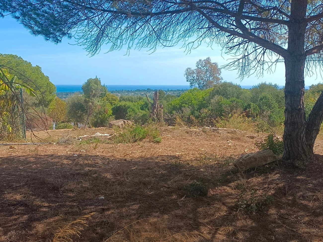 Donde el Golf se Funde con el Mar: Parcela Exclusiva en La Reserva de Sotogrande.- - Foto 1