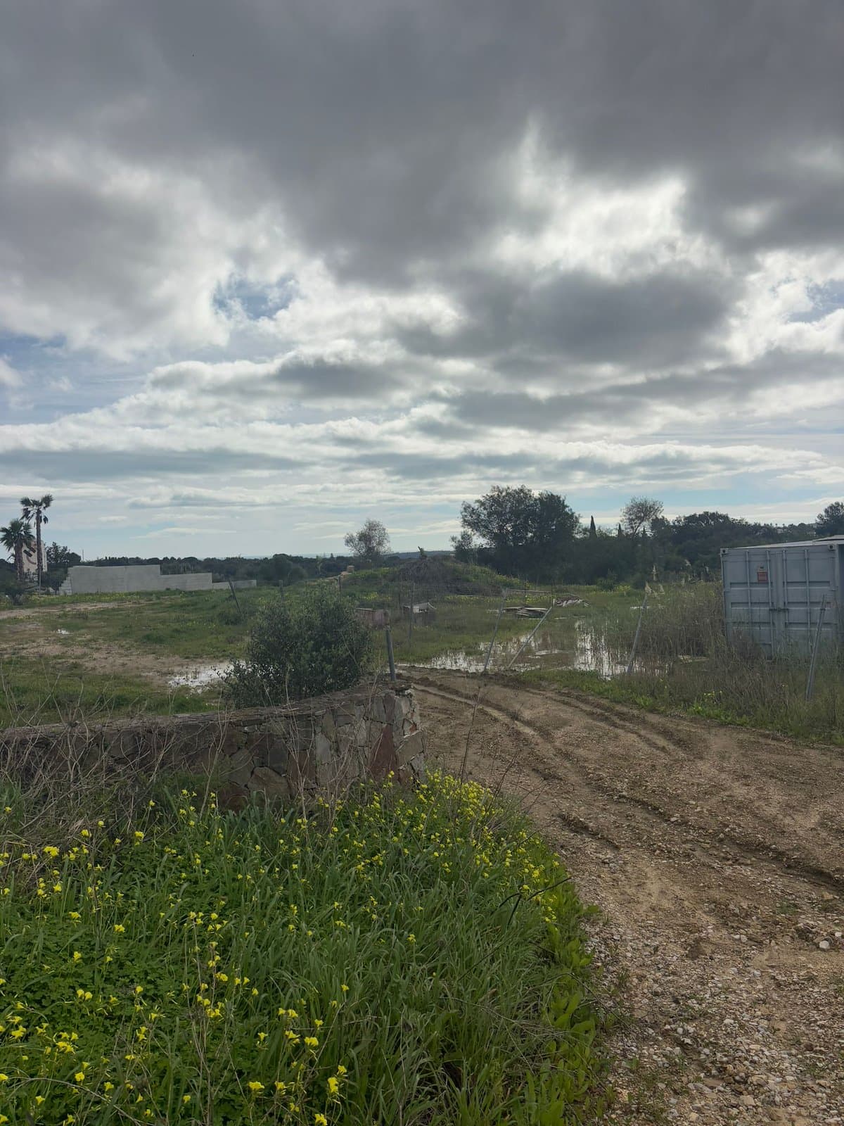 Magnífica parcela con orientación sur en La Reserva de Sotogrande, a escasos minutos del exclusivo La Reserva Club.- - Foto 4