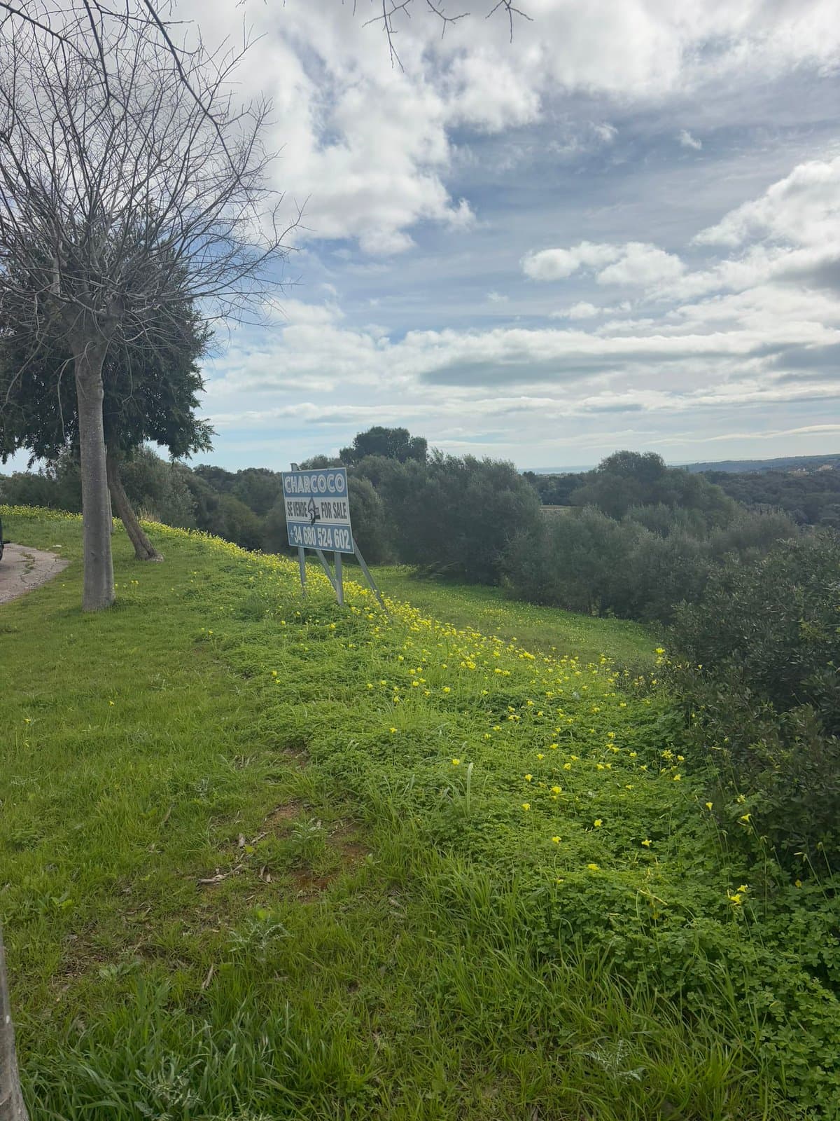 Magnífica parcela con orientación sur en La Reserva de Sotogrande, a escasos minutos del exclusivo La Reserva Club.- - Foto 3