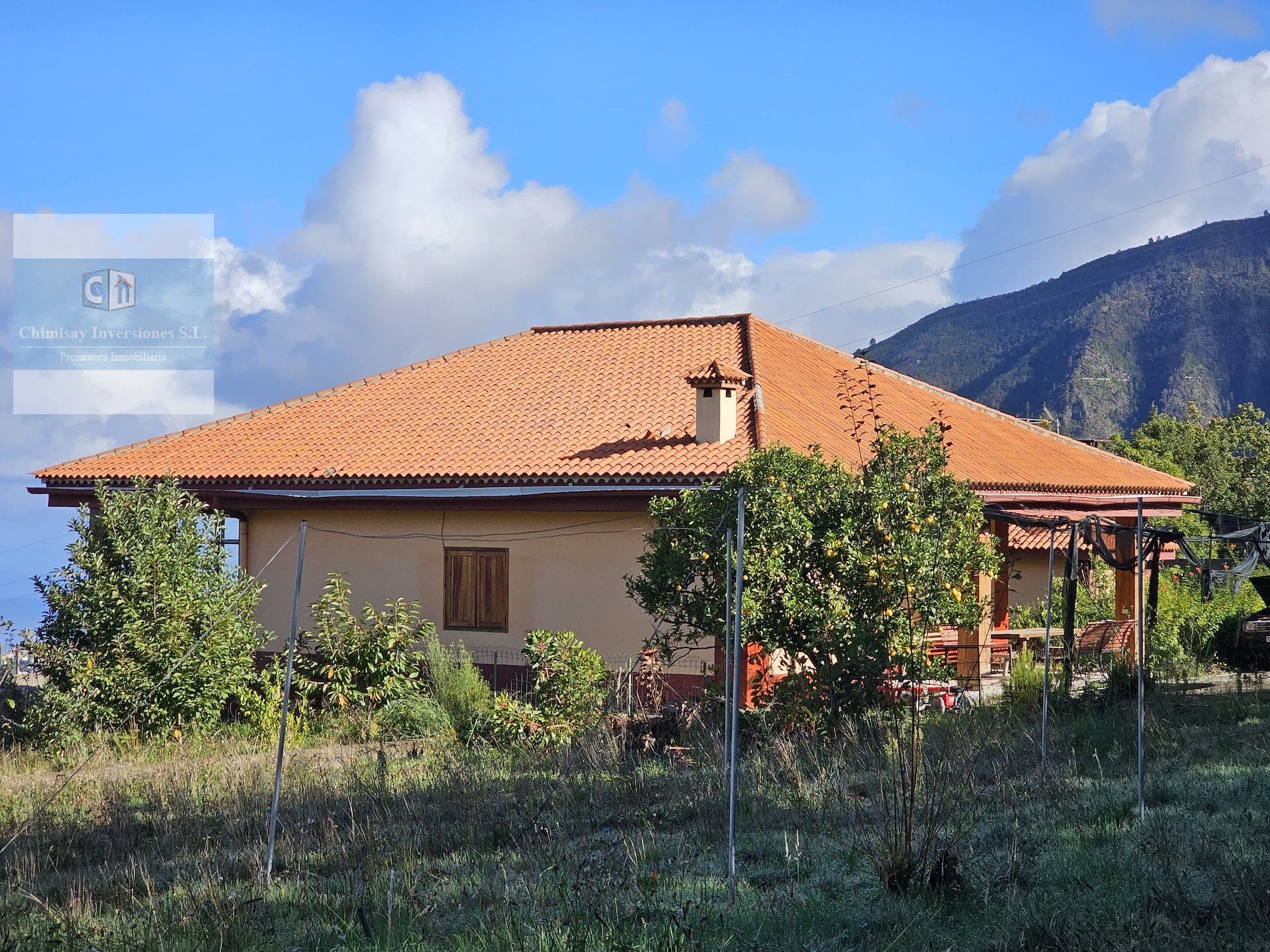 FINCA CON CHALET, APARTAMENTOS , CUEVA Y PAJEROS  NORTE TENERIFE - Foto 2