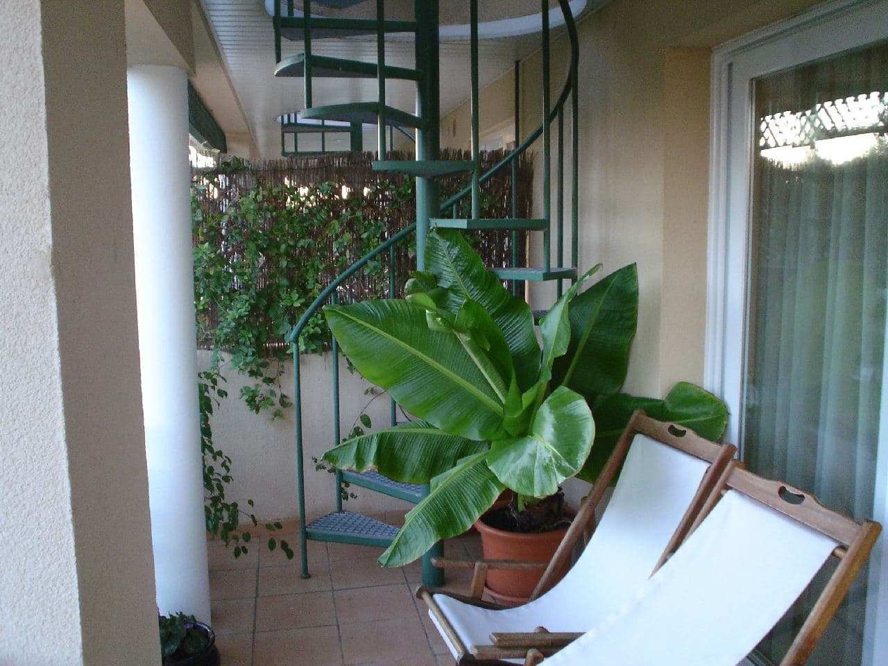 áTico - Bendinat, Calvia - Foto 1