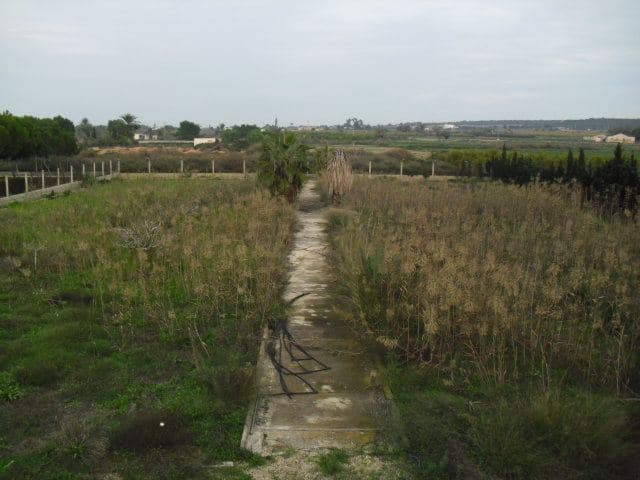 Terreno - Ctra. Santa Pola, Elche - Foto 3