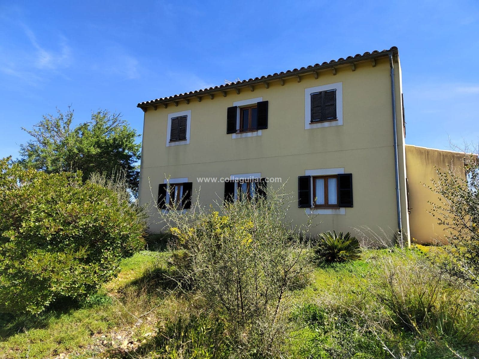 INCA, FINCA RUSTICA 17.000 m2 CASA DE 161m2. - Foto 3