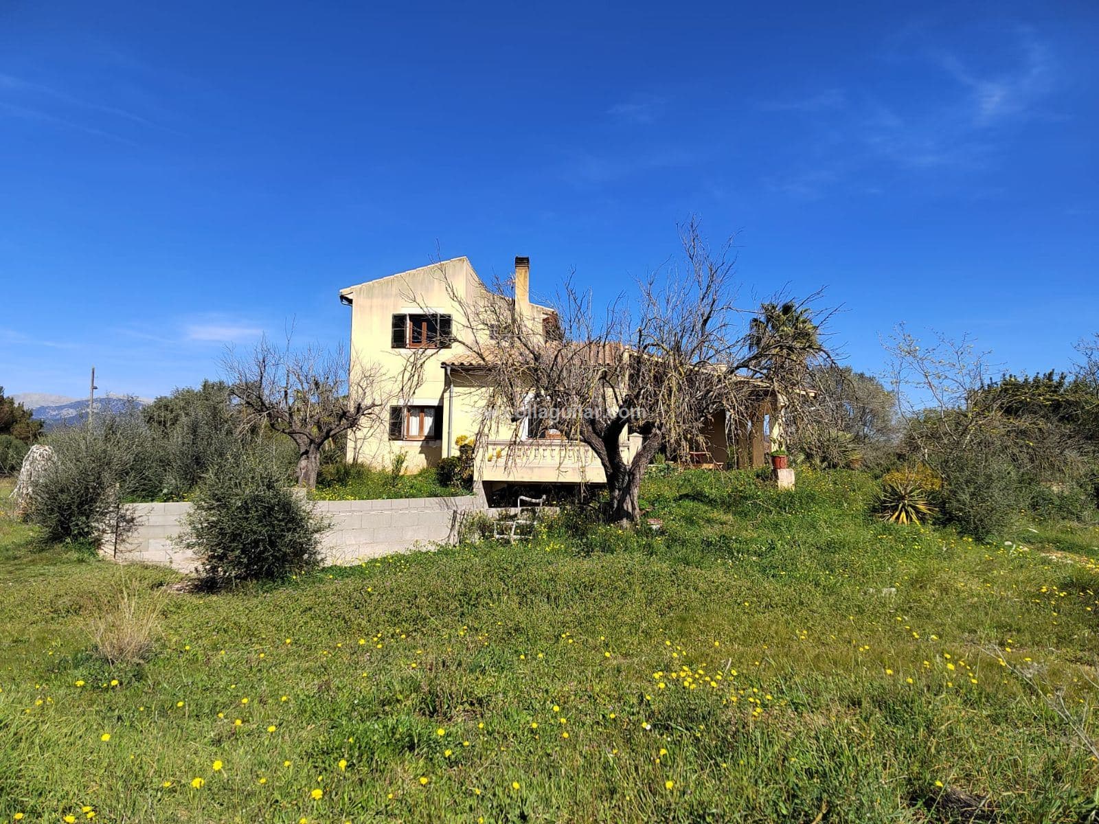 INCA, FINCA RUSTICA 17.000 m2 CASA DE 161m2. - Foto 5