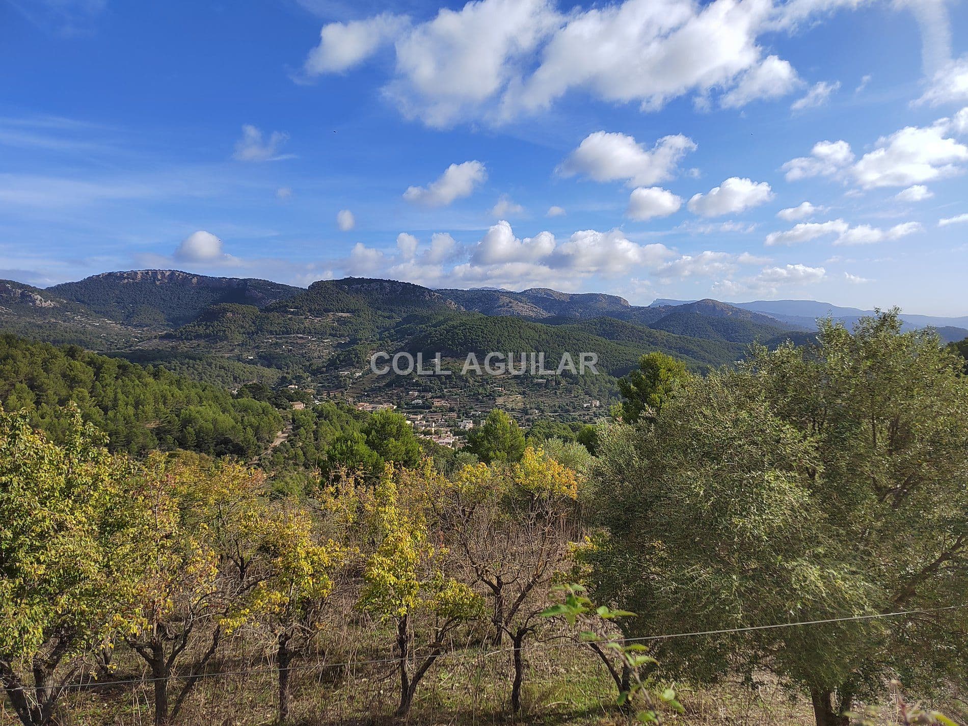 ESPECTACULAR POSSESION MALLORQUINA  EN ESPORLAS  500.000 m2 - Foto 5