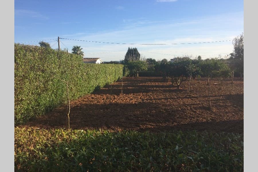 RUSTICA CON PARCELA 2.800m2 - Foto 4