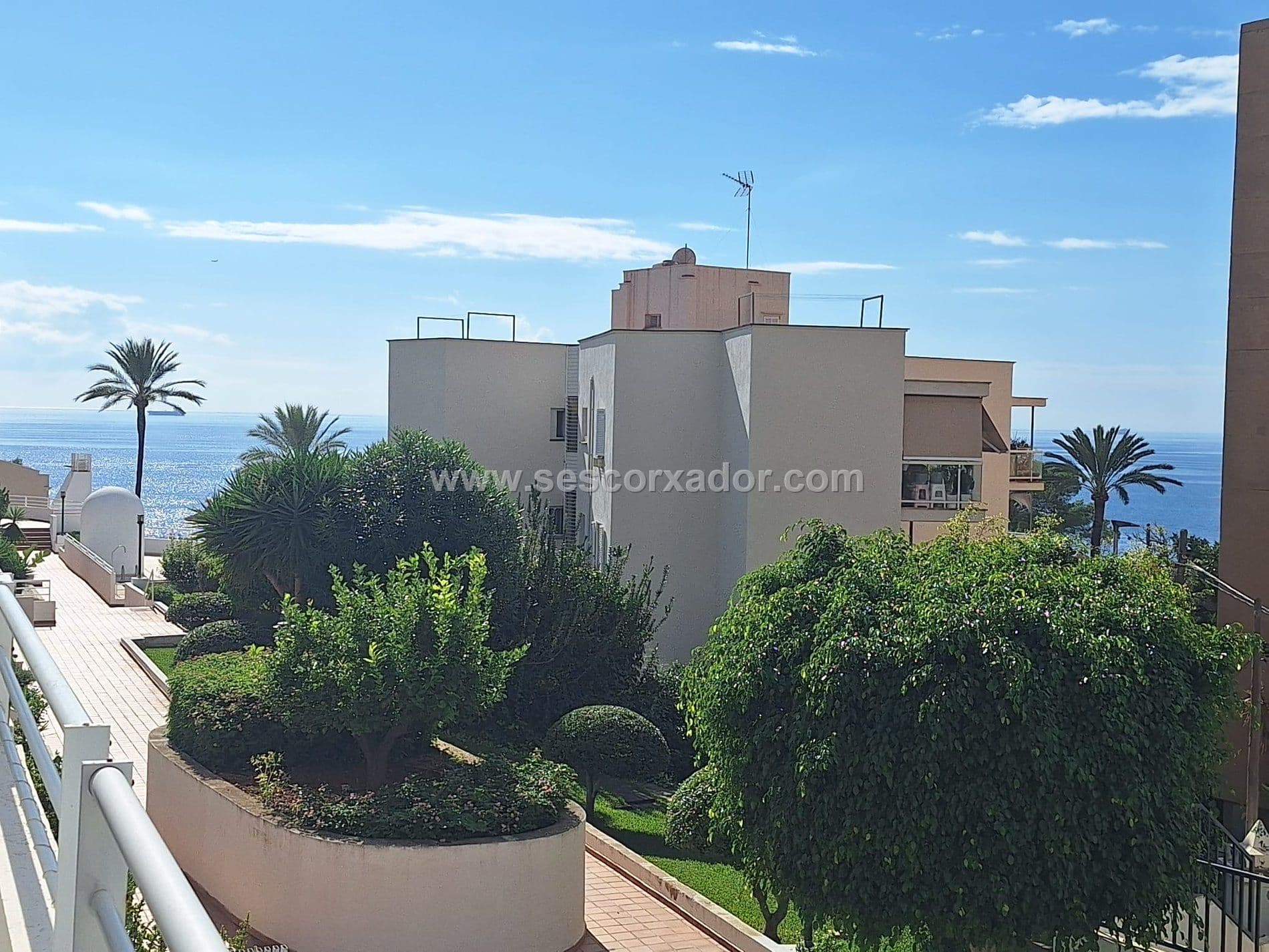 APARTAMENTO ZONA CALA MAYOR P-3243 - Foto 4