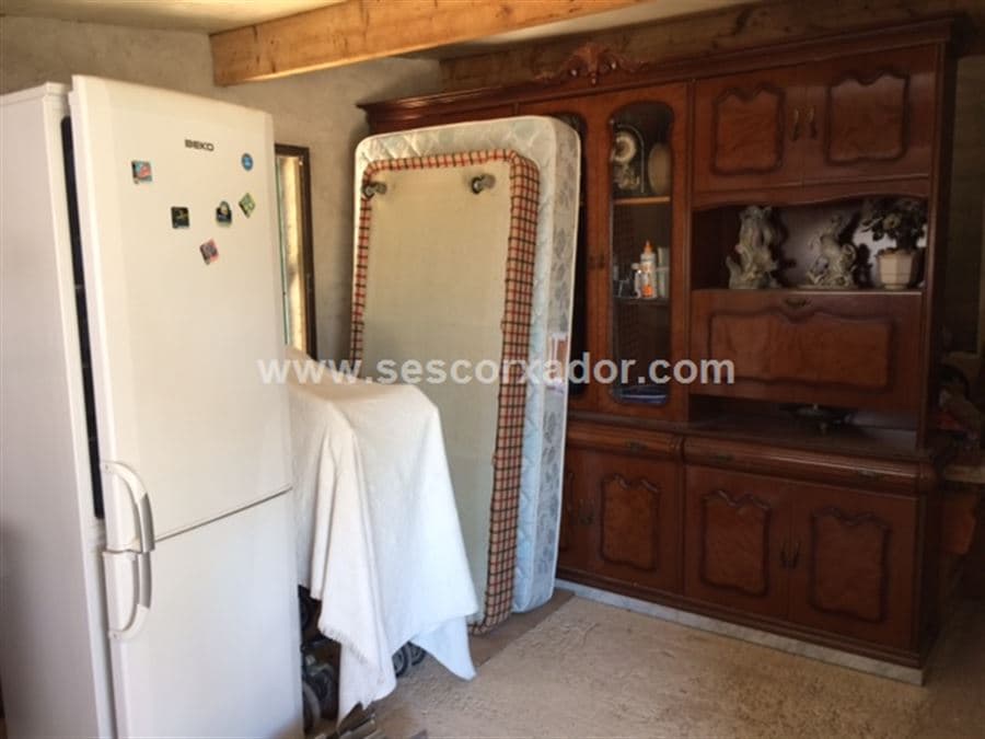 PEGADO A PALMA - Foto 5