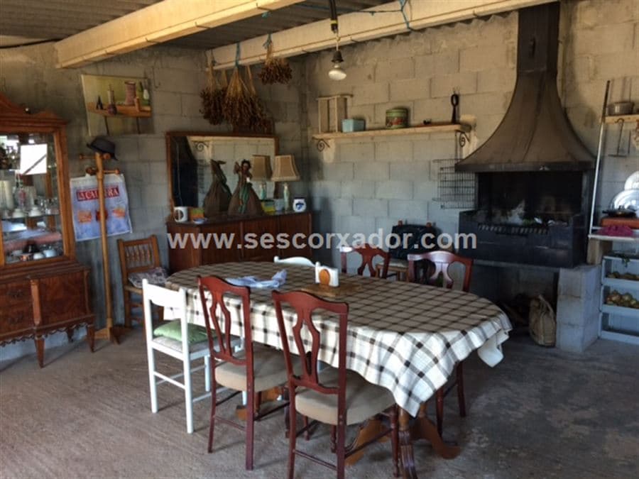 PEGADO A PALMA - Foto 2