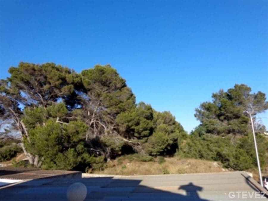 Unifamiliar a estrenar en el Arenal !!!!!! - Foto 1