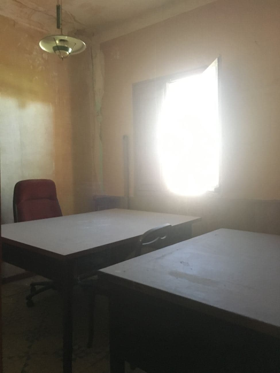 Finca - Borja - Foto 2