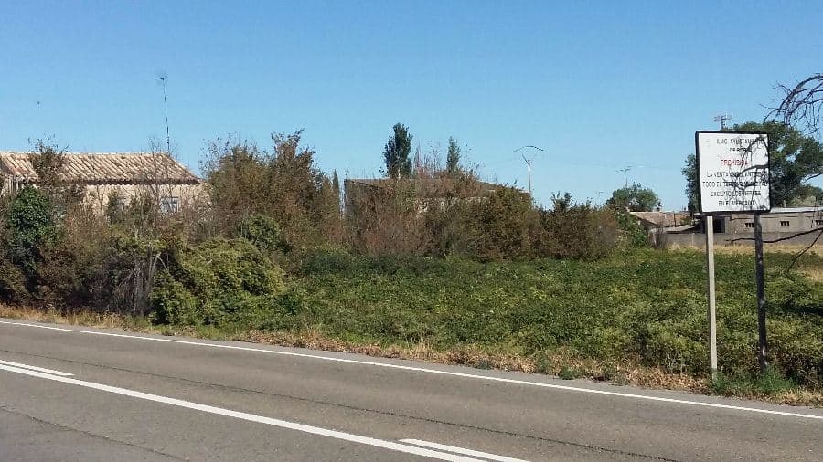 Terreno - Borja - Foto 2