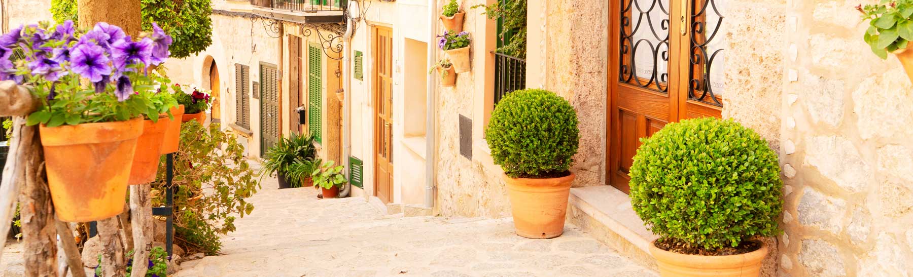 Imagen de portada Buscocasa