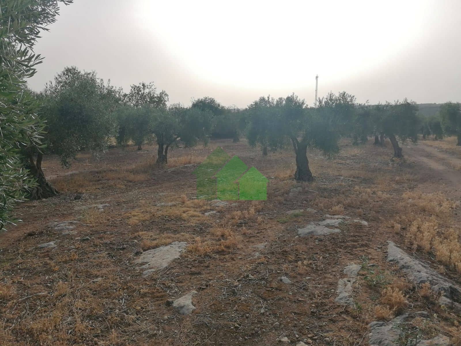 Terreno - Montijo - Foto 1