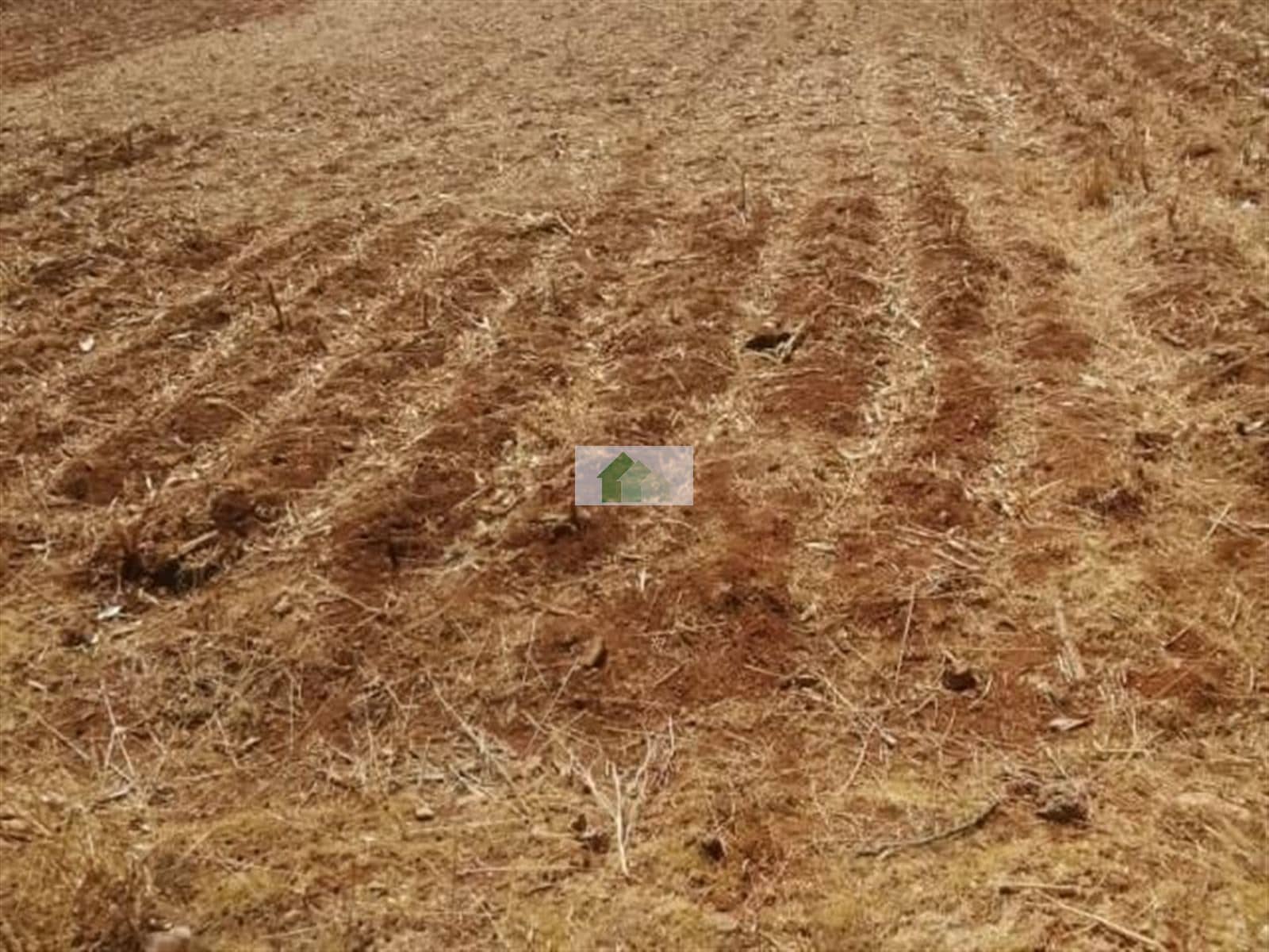Terreno - Montijo - Foto 1