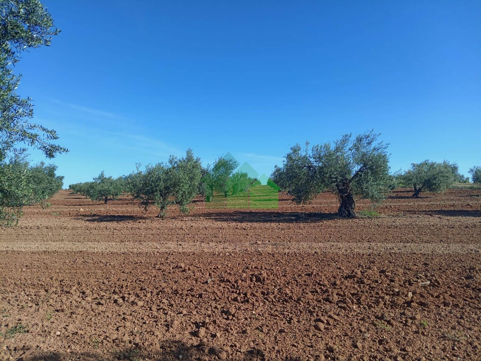 Terreno - Corte De Peleas - Foto 1