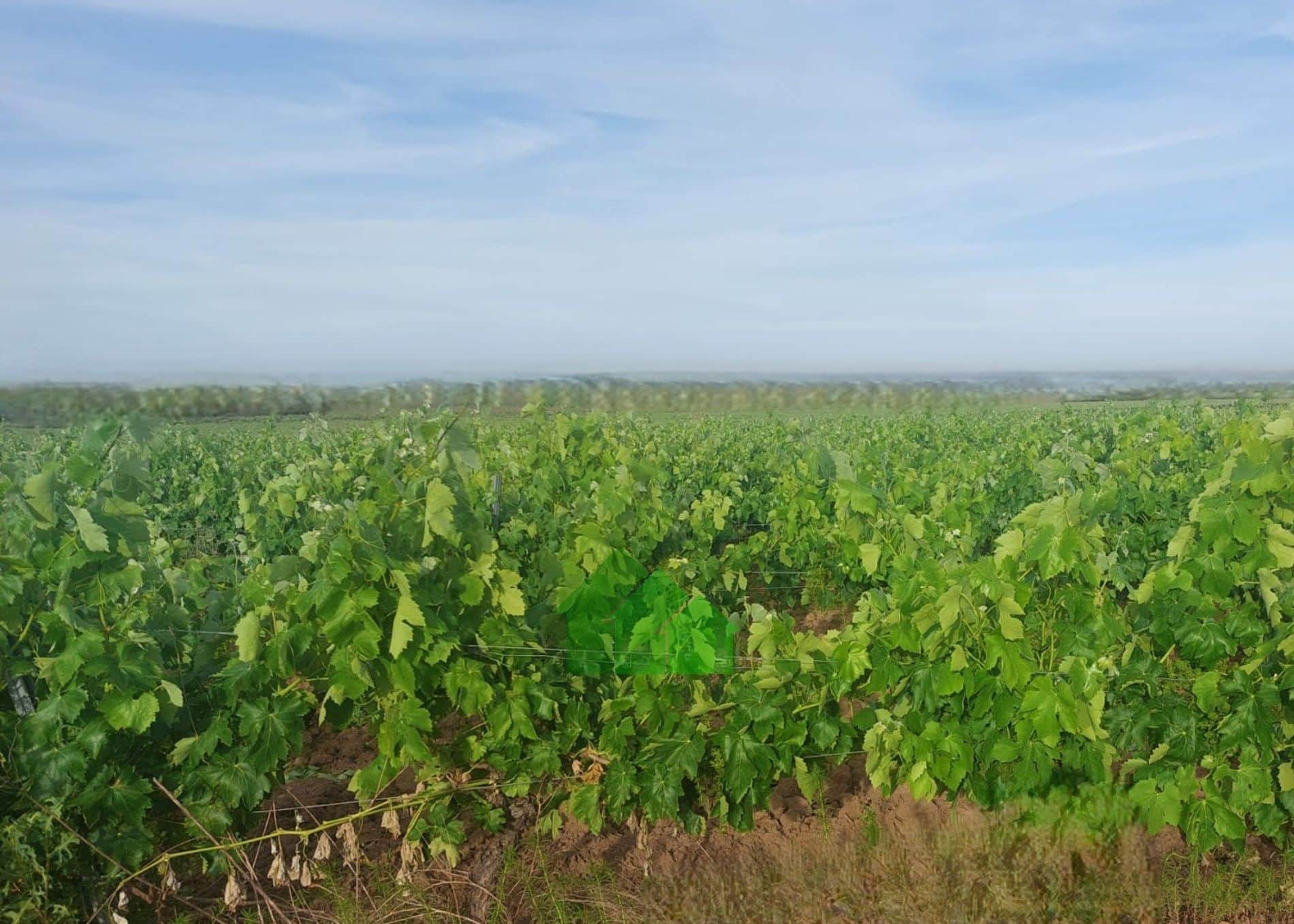 Terreno en venta en Montijo - Foto 4