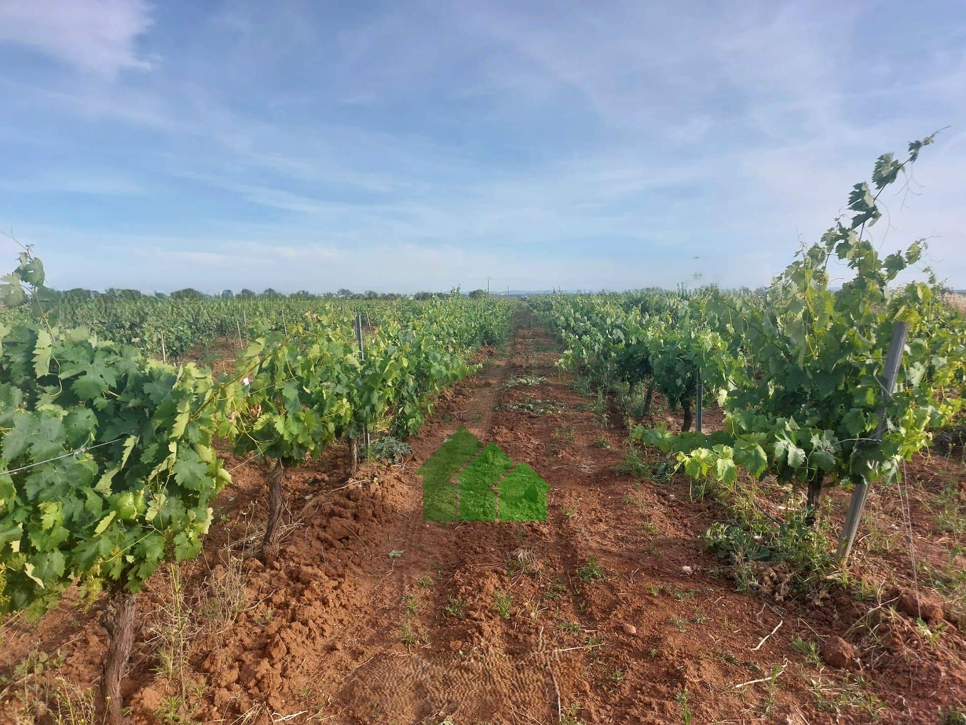 Terreno - Montijo - Foto 1