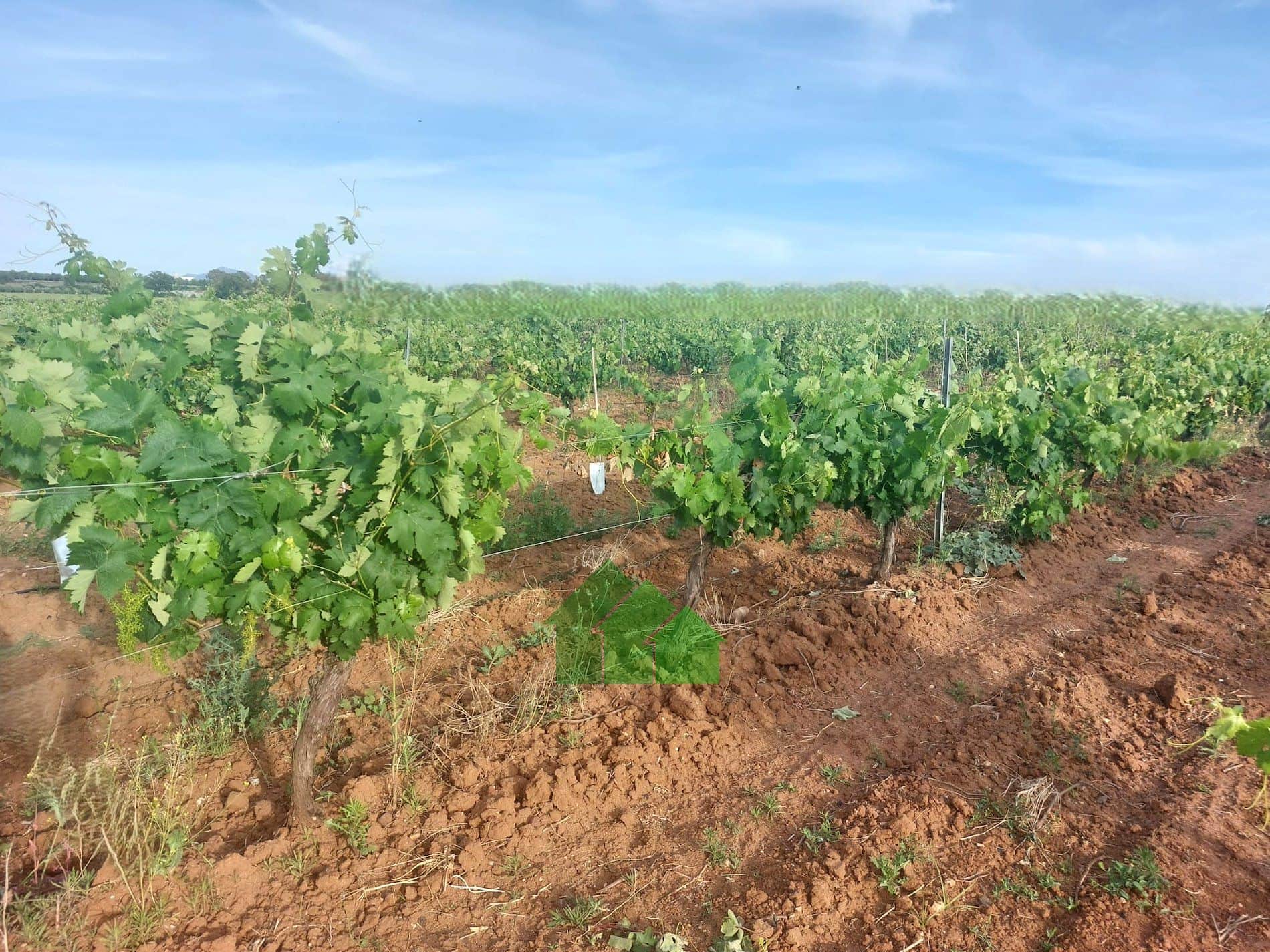 Terreno en venta en Montijo - Foto 2