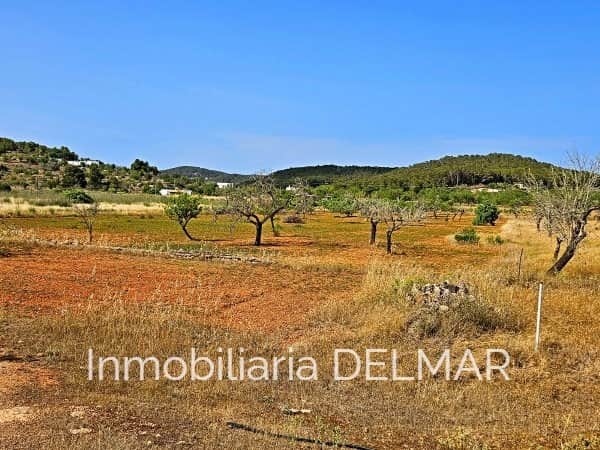 TERRENO RÚSTICO EDIFICABLE - Foto 2