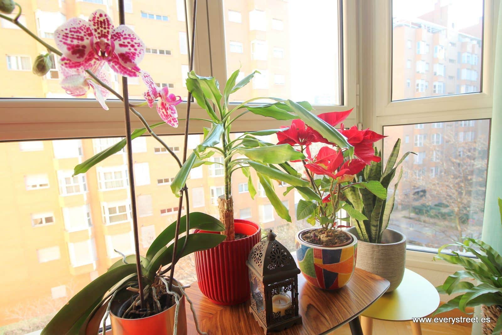 Piso - Paseo De La Florida - Arguelles - Madrid - Foto 3