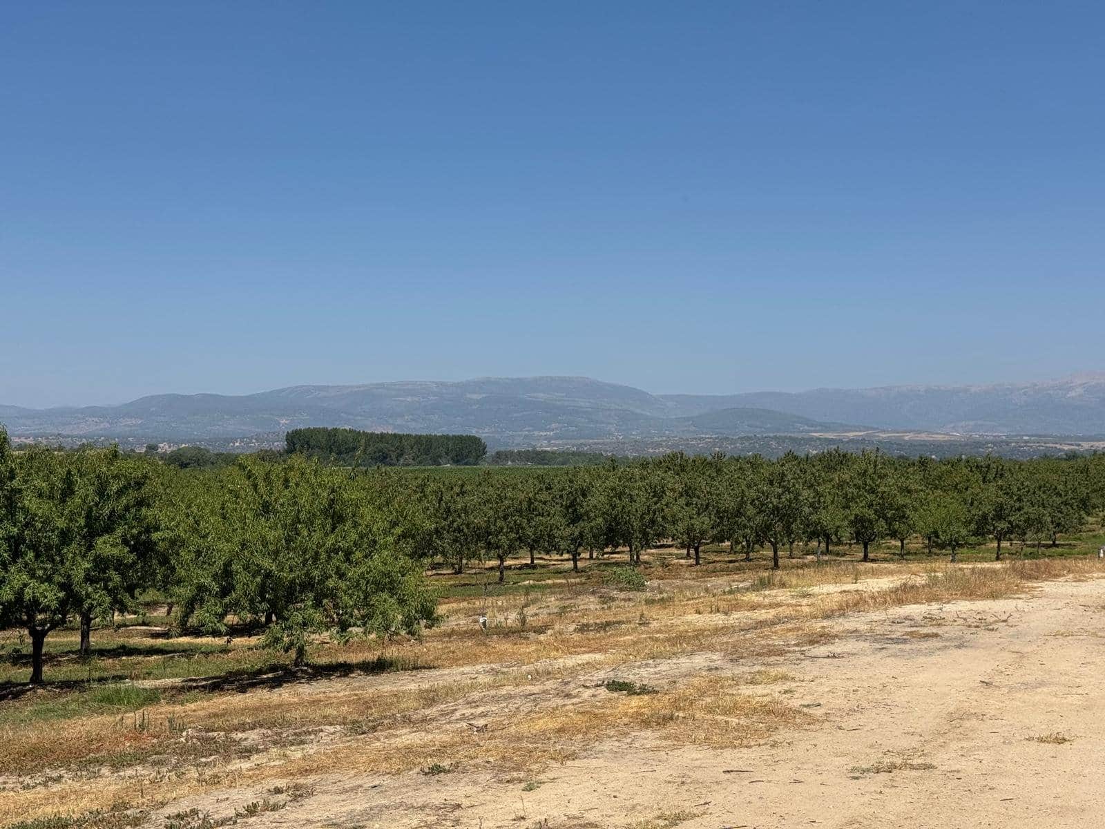 Terreno en venta en Majadas - Foto 2