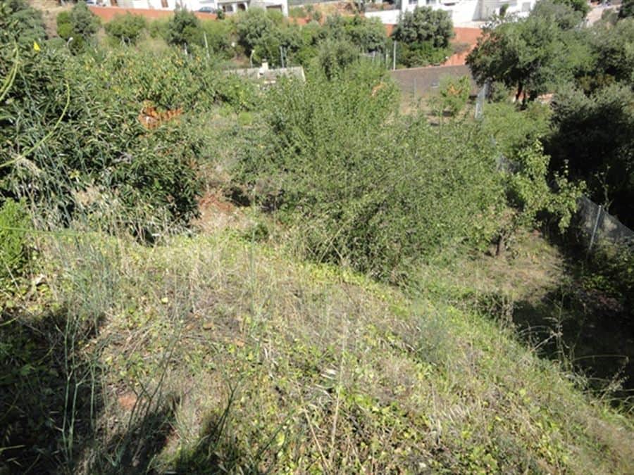 Terreno en venta en Can Güell, Torrelles de Llobregat - Foto 2