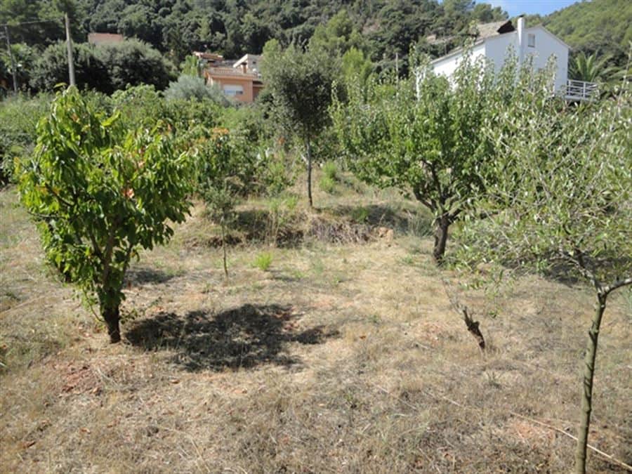 Terreno en venta en Can Güell, Torrelles de Llobregat - Foto 3