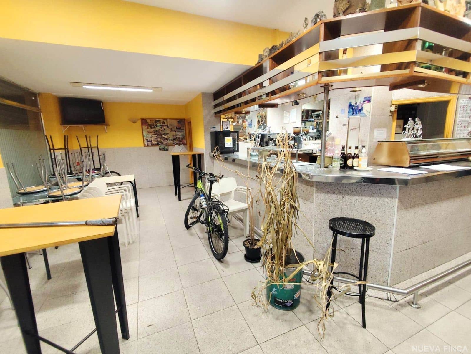 Local comercial - Esteban Saez Alvarado - Gamonal - Burgos - Foto 1