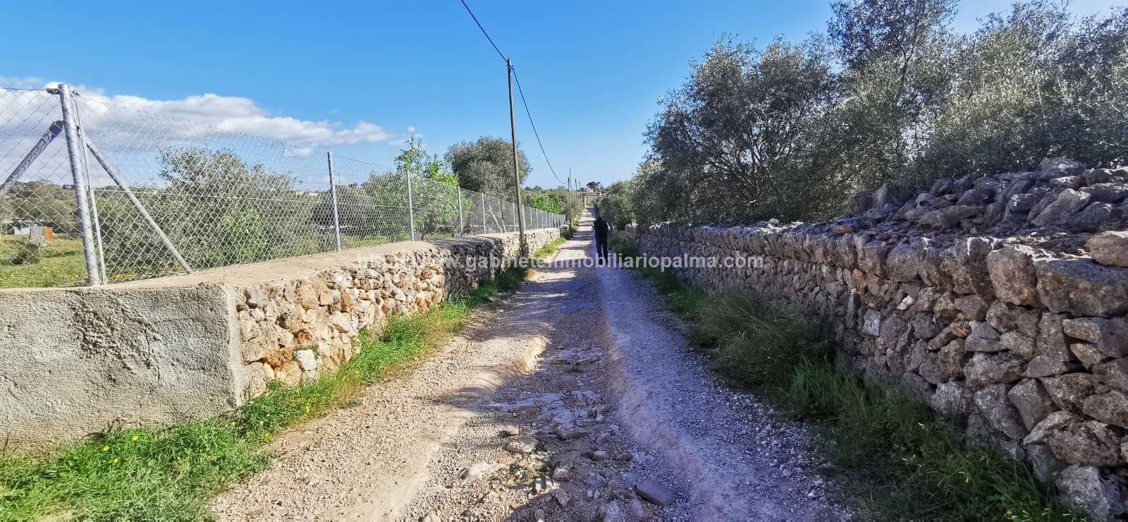 Terreno - Portol, Marratxi - Foto 1