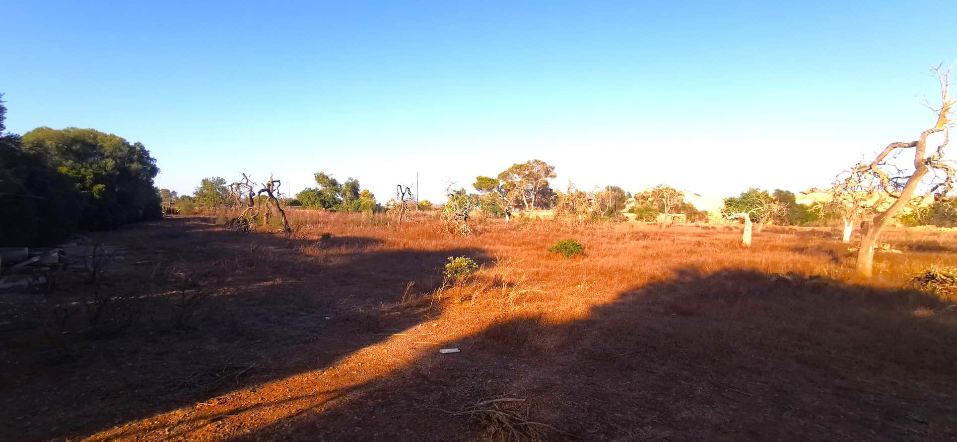 Terreno en venta en Polígono Son Noguera, Llucmajor - Foto 2