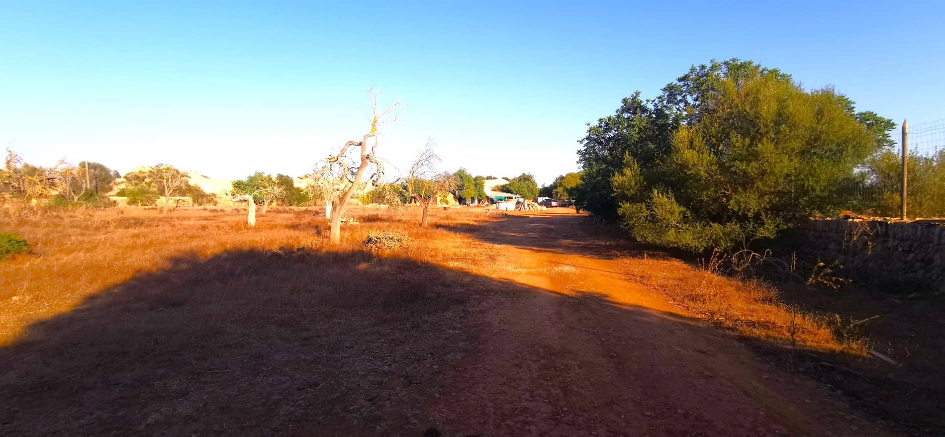 Terreno - Polígono Son Noguera, Llucmajor - Foto 1