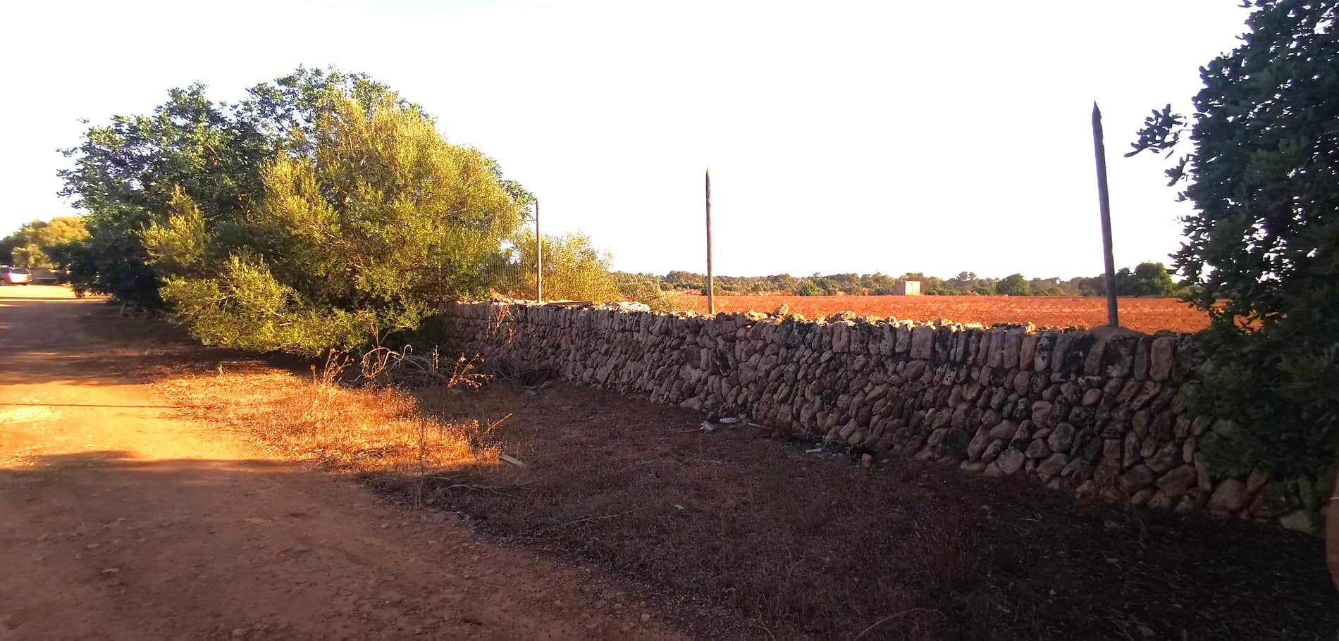 Terreno en venta en Polígono Son Noguera, Llucmajor - Foto 3