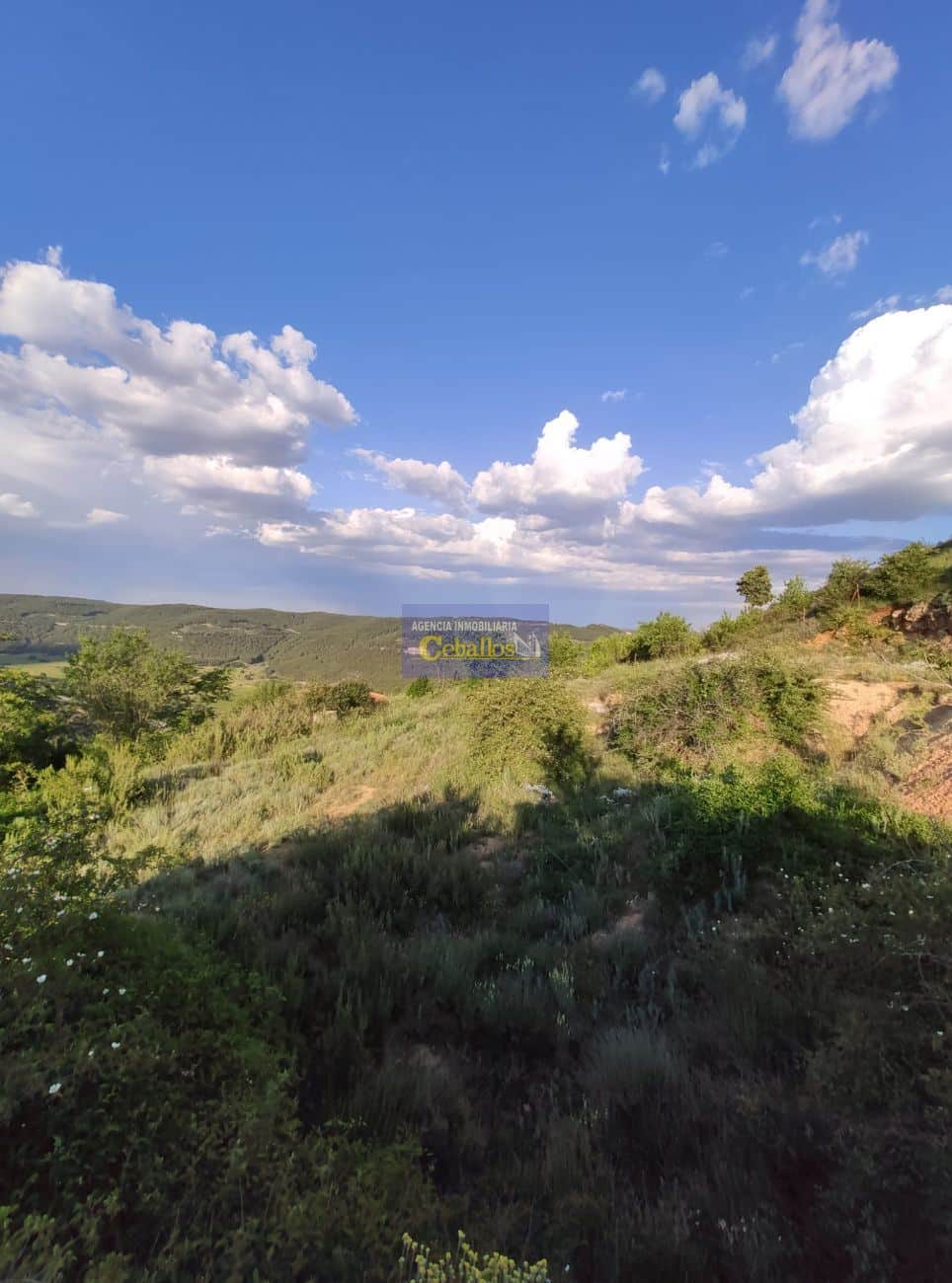 Terreno - Camino La Pililla - Horche - Foto 5